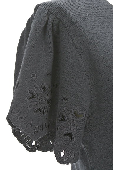 PROPORTION BODY DRESSING（プロポーションボディ ドレッシング）の古着「カットワーク刺繍袖ニット（ニット）」大画像４へ