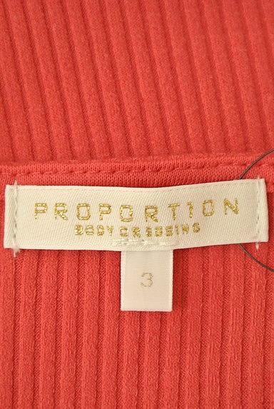 PROPORTION BODY DRESSING（プロポーションボディ ドレッシング）の古着「刺繍レース半袖リブニット（カットソー・プルオーバー）」大画像６へ