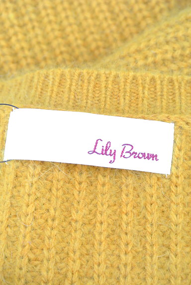 Lily Brown（リリーブラウン）の古着「オーバーサイズゆったりロングニット（ニット）」大画像６へ