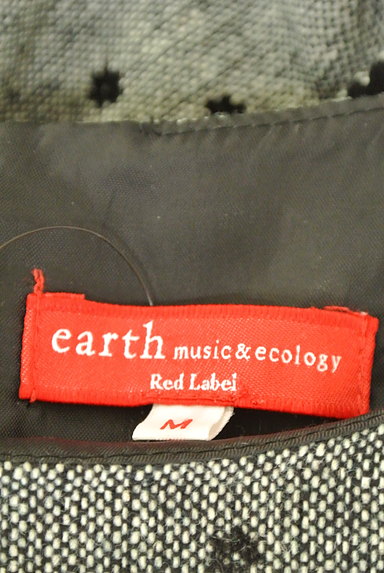 earth music&ecology（アースミュージック＆エコロジー）の古着「フロッキー花柄フレアワンピ（ワンピース・チュニック）」大画像６へ