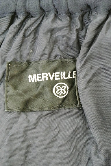 MERVEILLE H.（メルベイユアッシュ）の古着「フロントドローコード膝下丈スカート（スカート）」大画像６へ