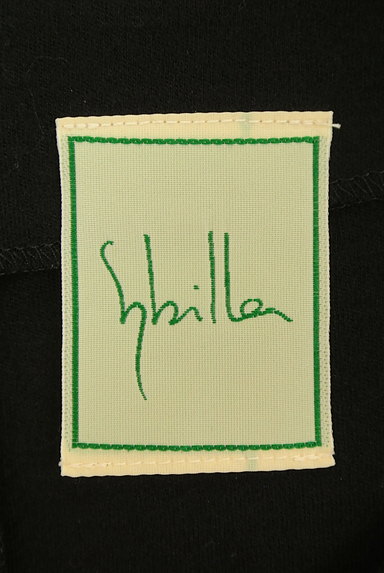 Sybilla（シビラ）の古着「刺繍フレアロングウールワンピ（ワンピース・チュニック）」大画像６へ
