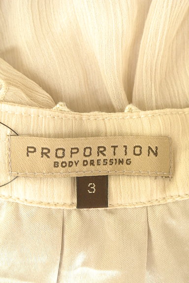 PROPORTION BODY DRESSING（プロポーションボディ ドレッシング）の古着「ラメ刺繍楊柳フリルカットソー（カットソー・プルオーバー）」大画像６へ