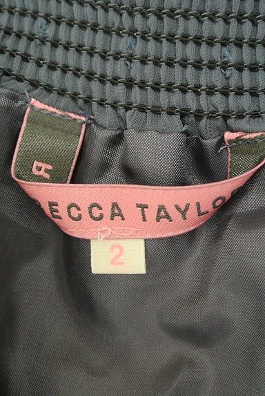 REBECCA TAYLOR（レベッカテイラー）の古着「刺繍フリルティアードミニスカート（ミニスカート）」大画像６へ