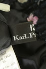 KarL Park Lane（カールパークレーン）の古着「商品番号：PR10249269」-6