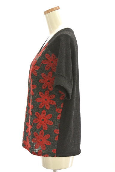 antiqua（アンティカ）の古着「レトロフラワー刺繍Vネック半袖ニット（ニット）」大画像３へ