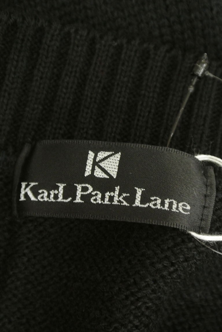 KarL Park Lane（カールパークレーン）の古着「商品番号：PR10249490」-大画像6