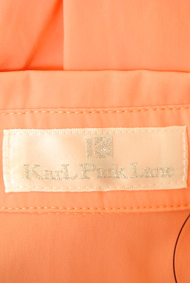 KarL Park Lane（カールパークレーン）の古着「シアー袖ボウタイブラウス（ブラウス）」大画像６へ