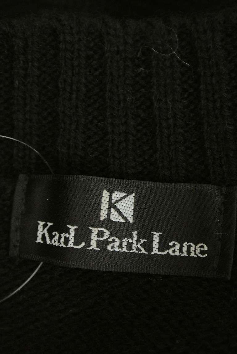 KarL Park Lane（カールパークレーン）の古着「商品番号：PR10249526」-大画像6