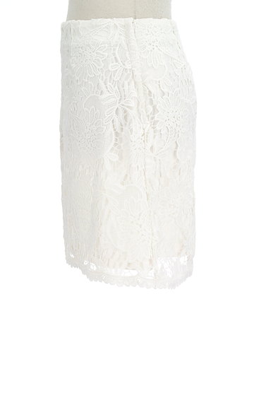 MERCURYDUO（マーキュリーデュオ）の古着「総刺繍レース台形ミニスカート（ミニスカート）」大画像３へ
