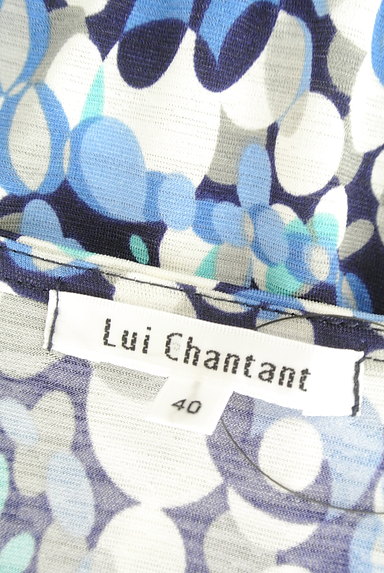 LUI CHANTANT（ルイシャンタン）の古着「花刺繍レース付き総柄ワンピース（ワンピース・チュニック）」大画像６へ
