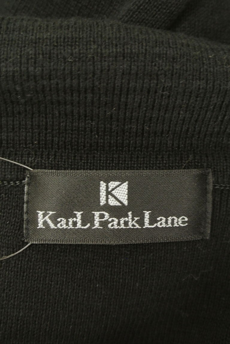 KarL Park Lane（カールパークレーン）の古着「商品番号：PR10251888」-大画像6