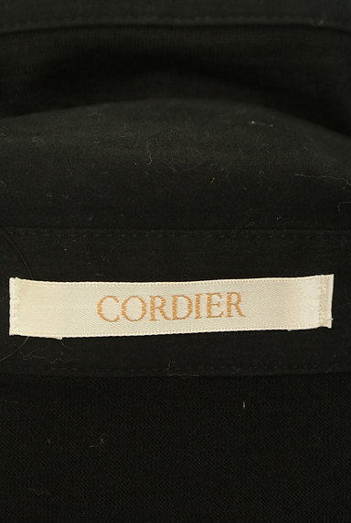 CORDIER（コルディア）の古着「襟付きスキッパー７分袖カットソー（カットソー・プルオーバー）」大画像６へ