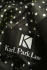 KarL Park Lane（カールパークレーン）の古着「商品番号：PR10254744」-6
