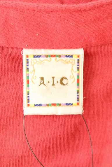 A.I.C（エーアイシー）の古着「エスニック刺繍スキッパーカットソー（カットソー・プルオーバー）」大画像６へ