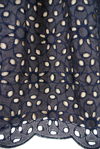 ANAYI（アナイ）の古着「カットワーク刺繍光沢フレアスカート（スカート）」大画像５へ