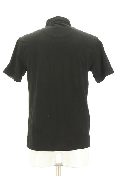 BLACK LABEL CRESTBRIDGE（ブラックレーベル・クレストブリッジ）の古着「チェック柄編地ポロシャツ（ポロシャツ）」大画像２へ