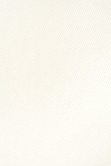 AZUL by moussy（アズールバイマウジー）の古着「ホワイトデニムパンツ（デニムパンツ）」大画像５へ