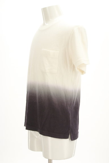 AZUL BY MOUSSY（アズールバイマウジー）の古着「グラデーションパイルカットソー（カットソー・プルオーバー）」大画像３へ
