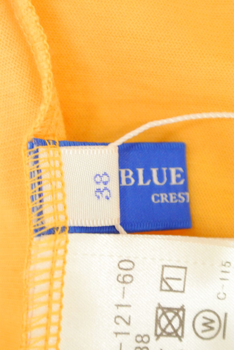 BURBERRY BLUE LABEL（バーバリーブルーレーベル）の古着「商品番号：PR10257991」-大画像6