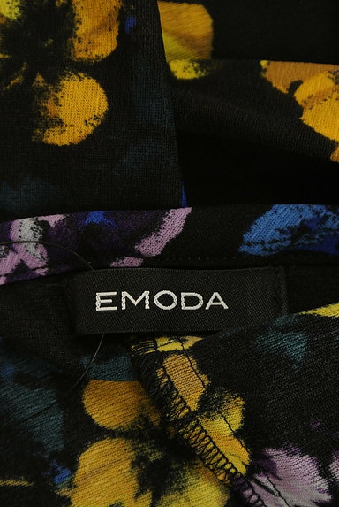 EMODA（エモダ）の古着「花柄シフォンバラフライ袖カットソー（カットソー・プルオーバー）」大画像６へ