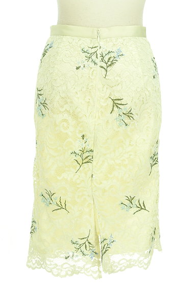 JUSGLITTY（ジャスグリッティー）の古着「フラワー総刺繍セミタイトスカート（スカート）」大画像２へ