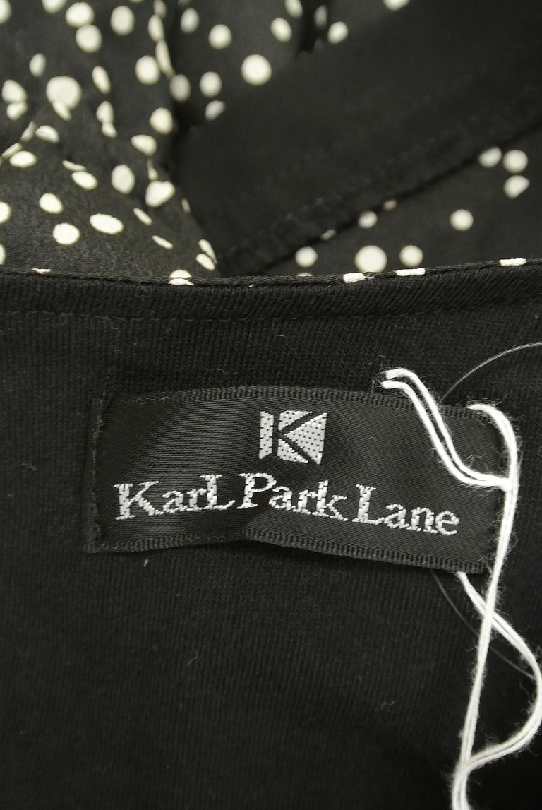 KarL Park Lane（カールパークレーン）の古着「商品番号：PR10260379」-大画像6