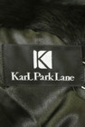 KarL Park Lane（カールパークレーン）の古着「商品番号：PR10260716」-6