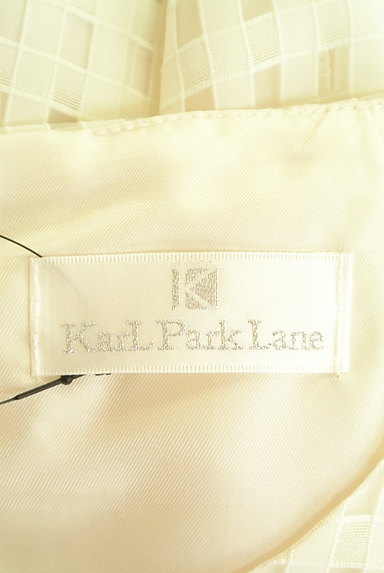 KarL Park Lane（カールパークレーン）の古着「シアーギンガムワンピース（ワンピース・チュニック）」大画像６へ