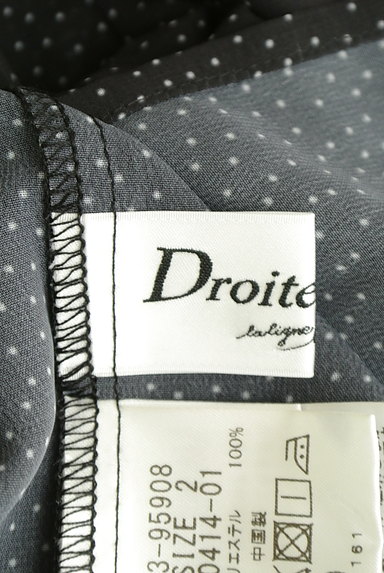 Droite lautreamont（ドロワットロートレアモン）の古着「フリル襟ドット柄シースルーカットソー（カットソー・プルオーバー）」大画像６へ
