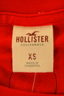 Hollister Co.（ホリスター）の古着「商品番号：PR10265440」-6