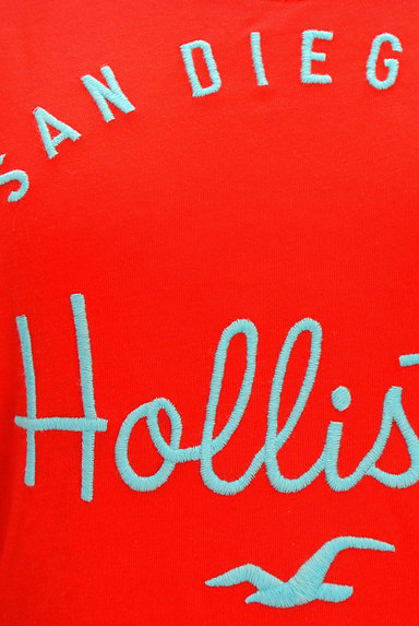 Hollister Co.（ホリスター）の古着「ロゴ刺繍ロングTシャツ（Ｔシャツ）」大画像４へ