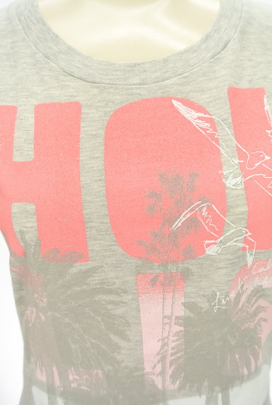 Hollister Co.（ホリスター）の古着「リゾート柄ロゴTシャツ（Ｔシャツ）」大画像４へ