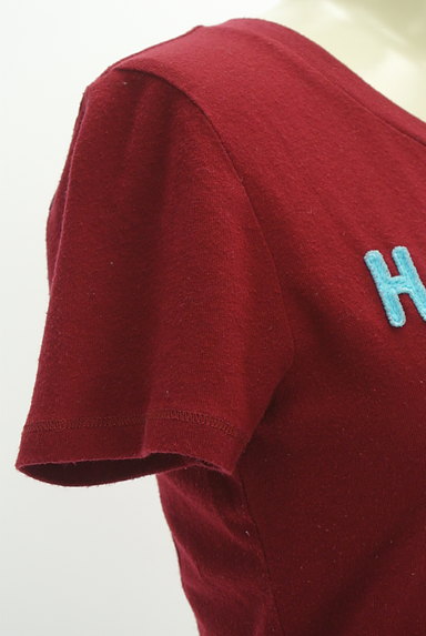 Hollister Co.（ホリスター）の古着「刺しゅうロゴTシャツ（Ｔシャツ）」大画像５へ