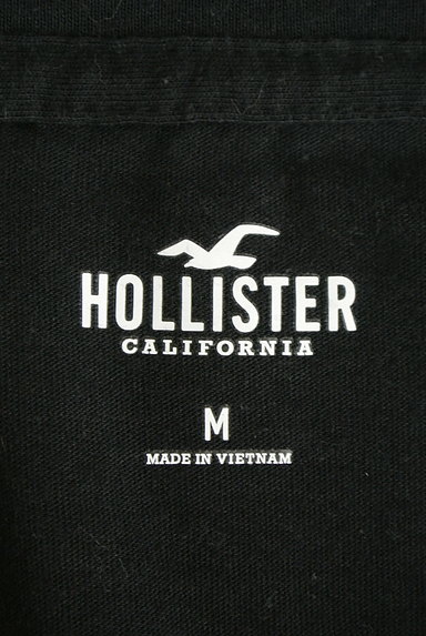 Hollister Co.（ホリスター）の古着「ワッペンロゴTシャツ（Ｔシャツ）」大画像６へ