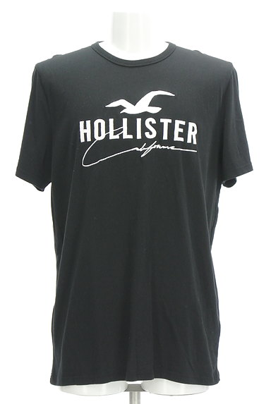 Hollister Co.（ホリスター）の古着「モノトーンロゴ刺繍Ｔシャツ（Ｔシャツ）」大画像１へ
