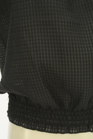 LODISPOTTO（ロディスポット）の古着「バルーン袖チェック柄シアーカットソー（カットソー・プルオーバー）」大画像５へ