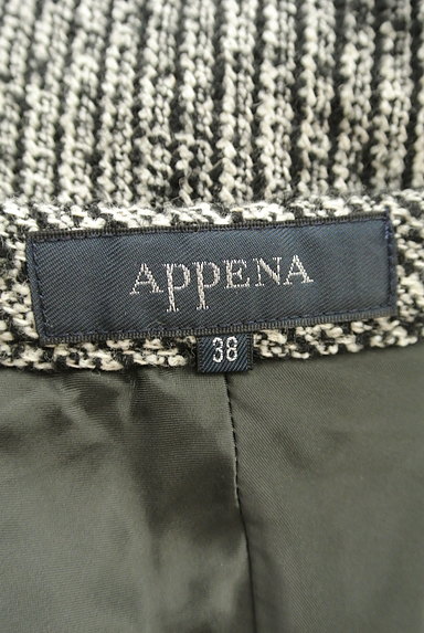 APPENA（アペーナ）の古着「刺繍レースミディ丈フレア起毛スカート（スカート）」大画像６へ