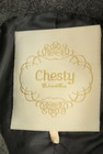 Chesty（チェスティ）の古着「商品番号：PR10272355」-6