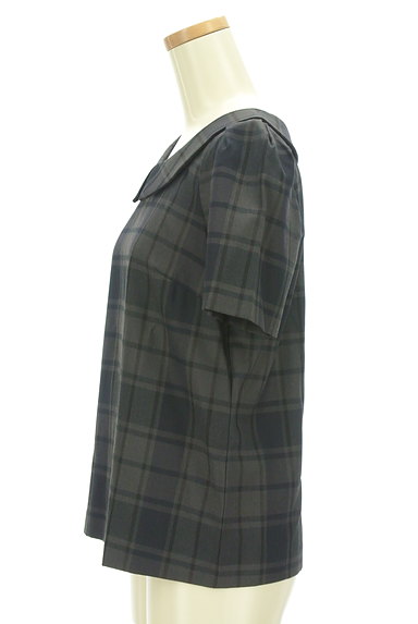 JILLSTUART（ジルスチュアート）の古着「丸襟チェック柄カットソー（カットソー・プルオーバー）」大画像３へ