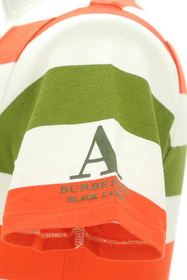 BURBERRY BLACK LABEL（バーバリーブラックレーベル）の古着「ボーダーTシャツ（Ｔシャツ）」大画像４へ