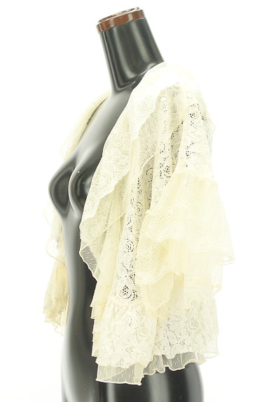 axes femme（アクシーズファム）の古着「刺繍チュール襟総レースボレロ（カーディガン・ボレロ）」大画像３へ