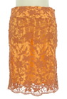 GALLARDAGALANTE（ガリャルダガランテ）の古着「スカート」前