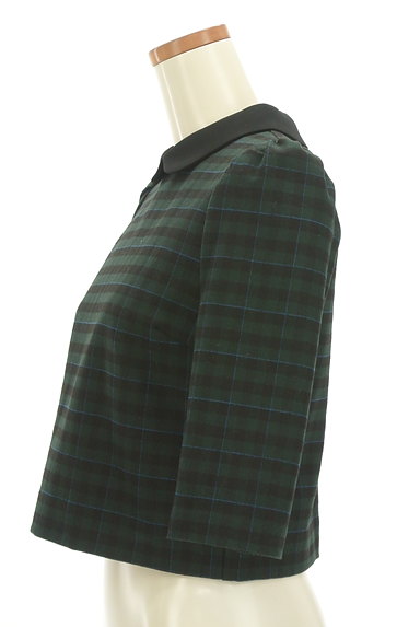 REDYAZEL（レディアゼル）の古着「チェック柄襟付きコンパクト七分袖カットソー（カットソー・プルオーバー）」大画像３へ