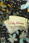 Lily Brown（リリーブラウン）の古着「商品番号：PR10277089」-6