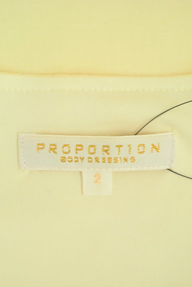 PROPORTION BODY DRESSING（プロポーションボディ ドレッシング）の古着「フリル袖パステルブラウス（カットソー・プルオーバー）」大画像６へ