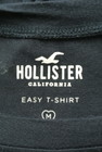 Hollister Co.（ホリスター）の古着「商品番号：PR10280530」-6