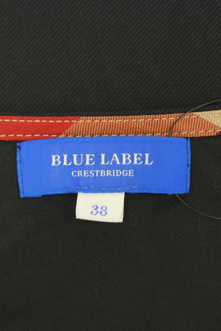BLUE LABEL CRESTBRIDGE（ブルーレーベル・クレストブリッジ）の古着「商品番号：PR10281263」-大画像6