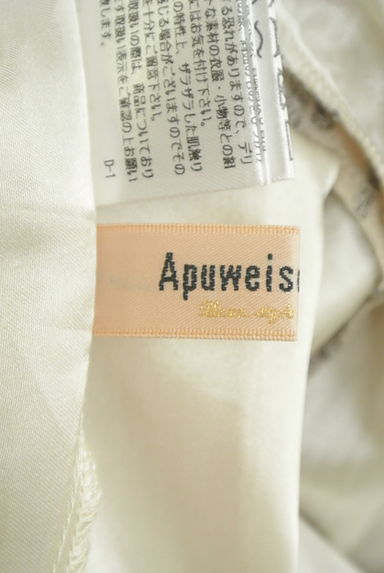 Apuweiser riche（アプワイザーリッシェ）の古着「楊柳シフォンの刺繍ロングスカート（ロングスカート・マキシスカート）」大画像６へ