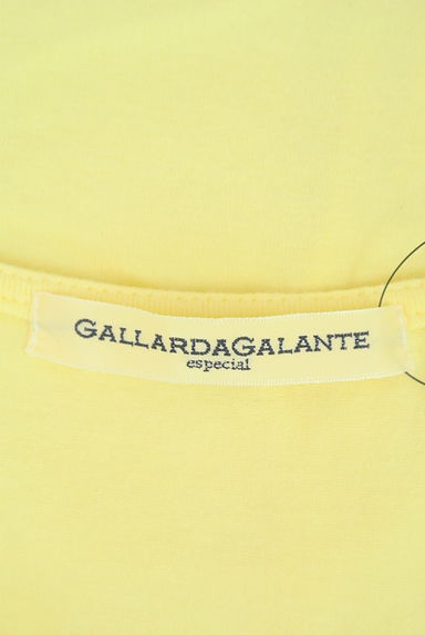 GALLARDAGALANTE（ガリャルダガランテ）の古着「シアー袖切替カラーカットソー（カットソー・プルオーバー）」大画像６へ